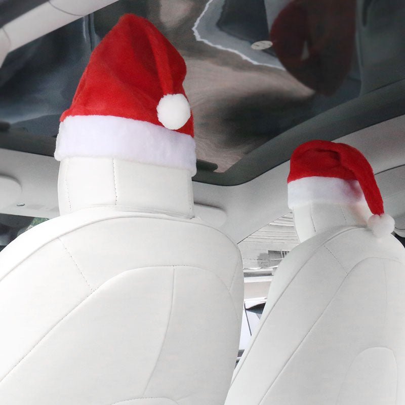 Two Hats and Two Pairs of Eyes - TESVX Christmas Hat Headrest Decoration