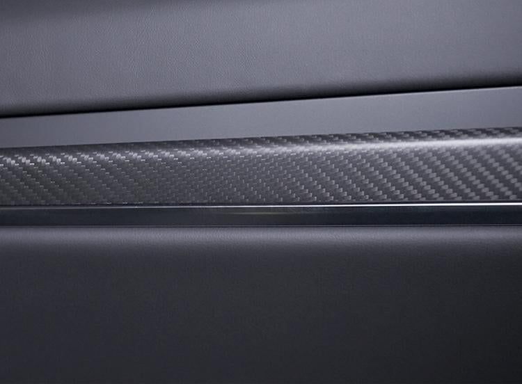 Carbon Surface - TESVX Door Trim Overlay