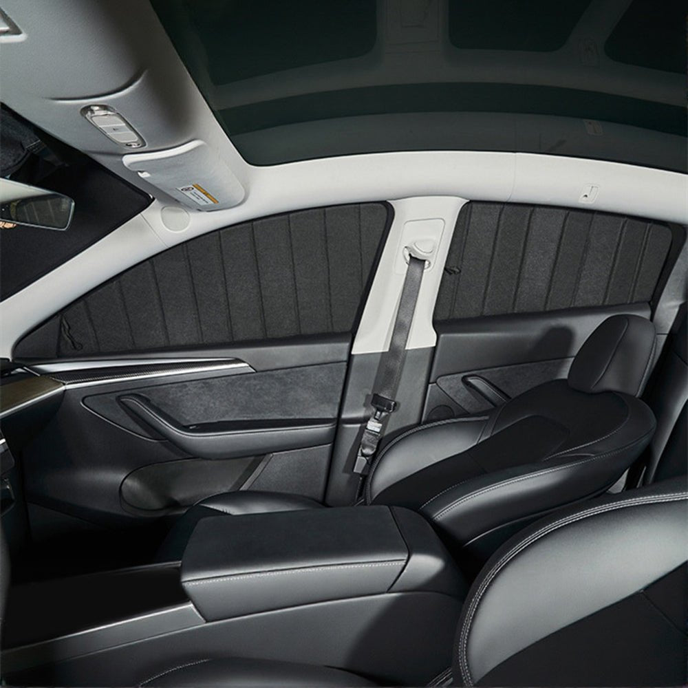 Window Coverage While Parked - TESVX Window Shade Set