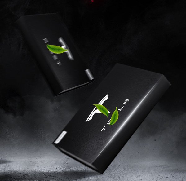 TESVX product image