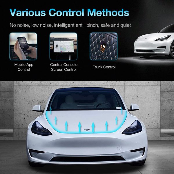 TESVX product image