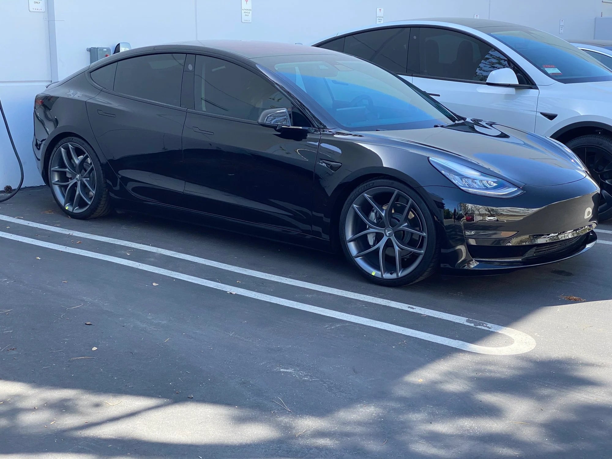 One Size for Listed Model 3 Versions - TESVX Forged Wheels
