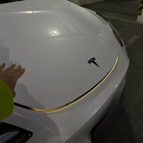 TESVX product image