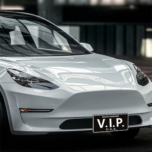 TESVX product image