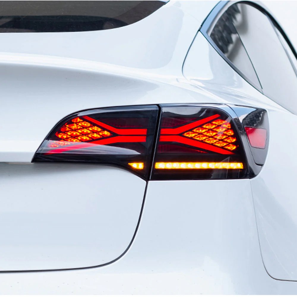 X-Shaped Rear Pattern - TESVX Tail Light Assembly