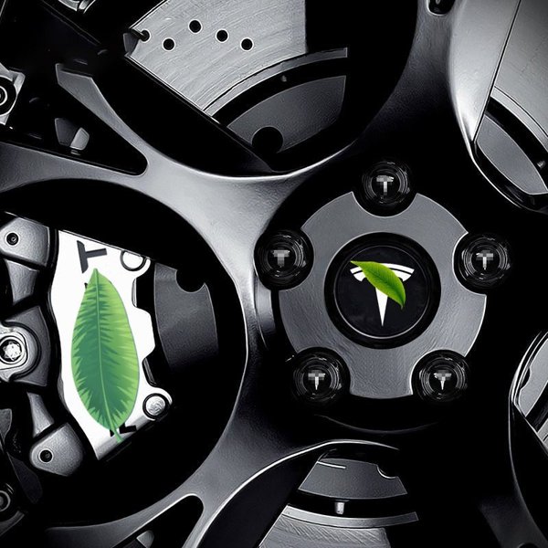 TESVX product image