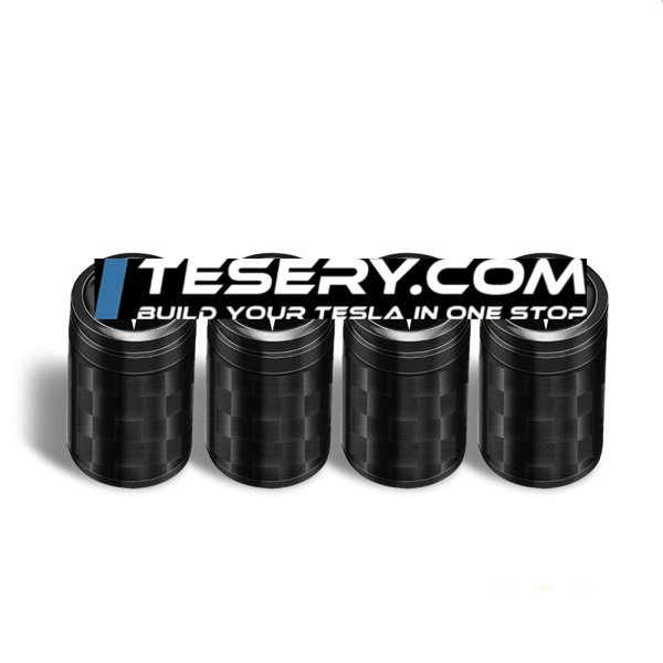 TESVX product image