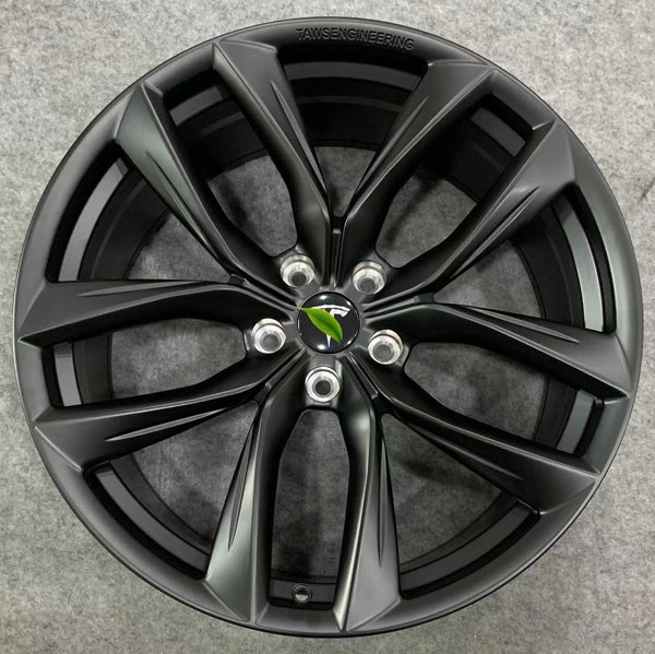 TESVX product image