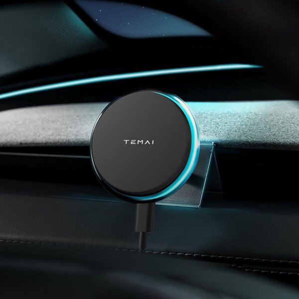 TESVX product image