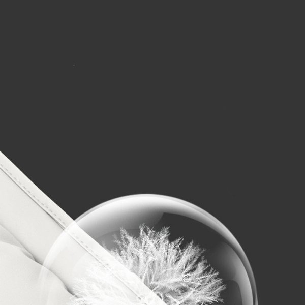 TESVX product image