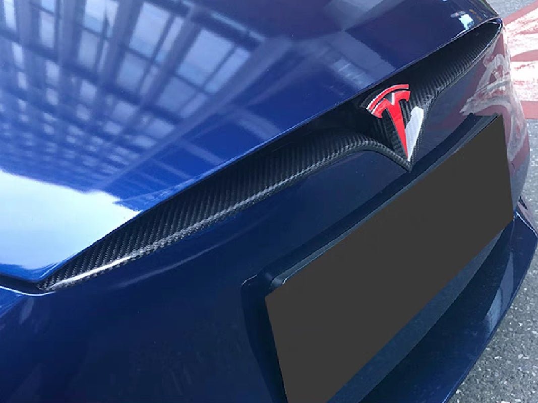 Installed Front Detail - TESVX Front End Inlay