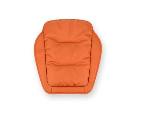 TESVX product image