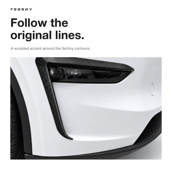 TESVX product image