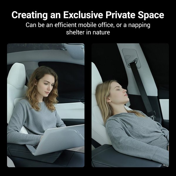 TESVX product image