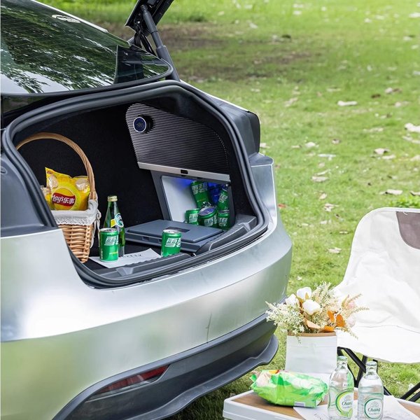 TESVX product image