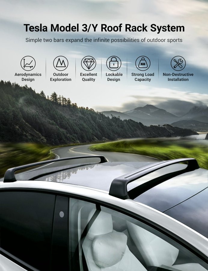 TESVX product image