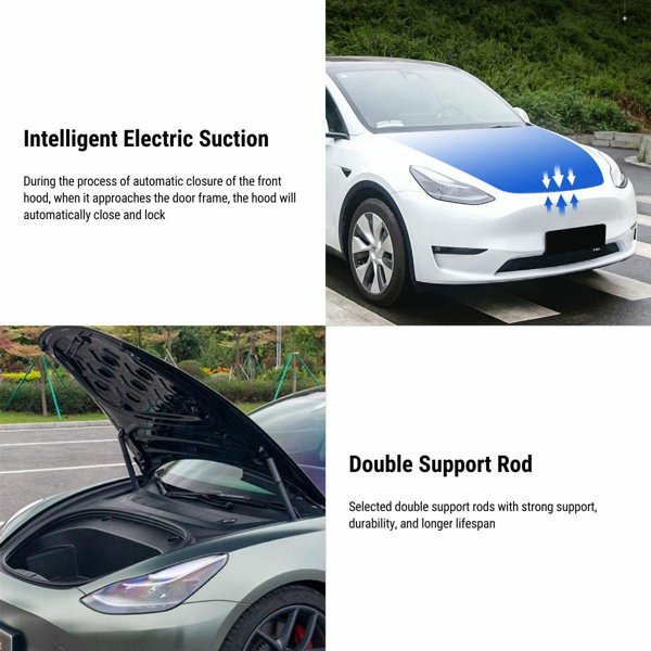 TESVX product image