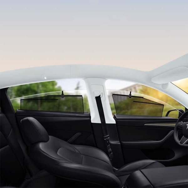 TESVX product image