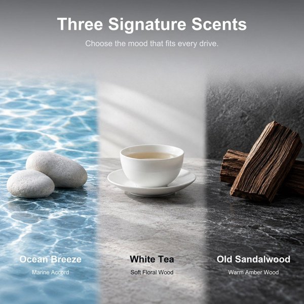 TESVX product image