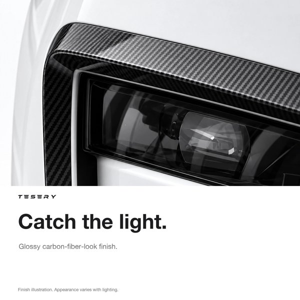TESVX product image
