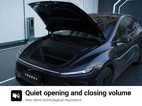 TESVX product image