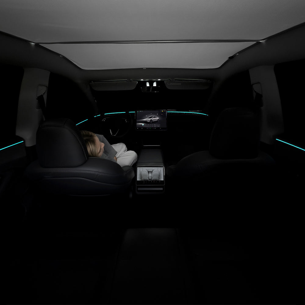 Privacy While Parked - TESVX Side Window Shades