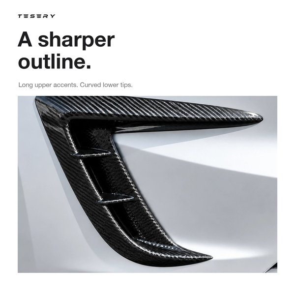 TESVX product image