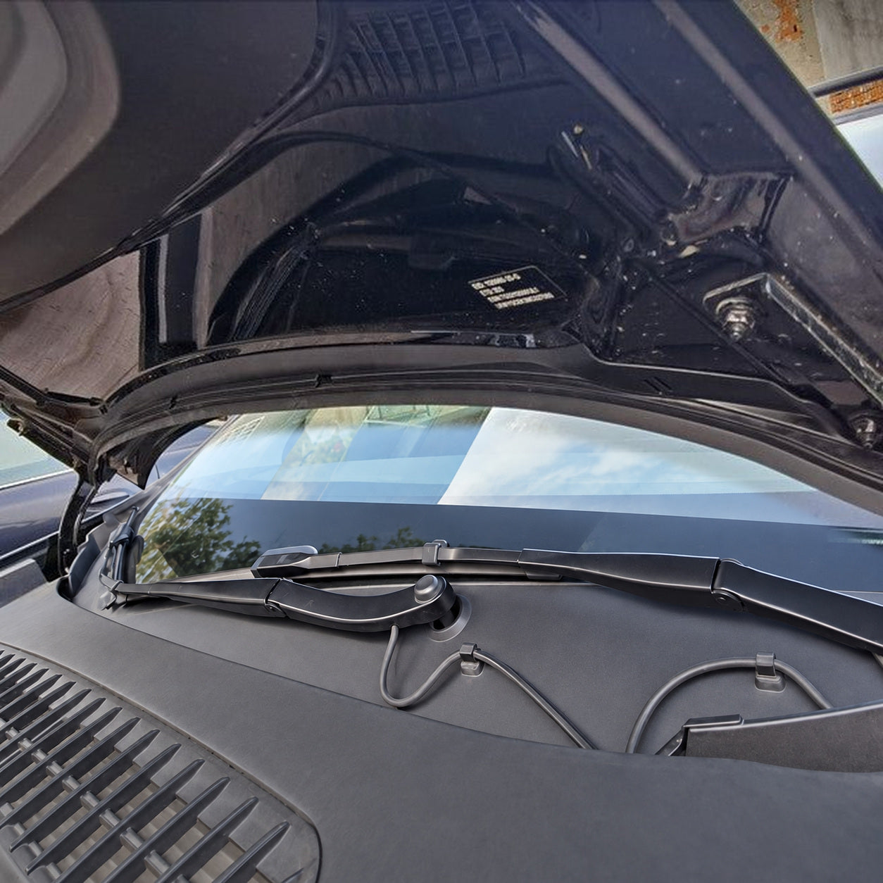 Rear Hood-Edge Placement - TESVX Hood Weatherstrip