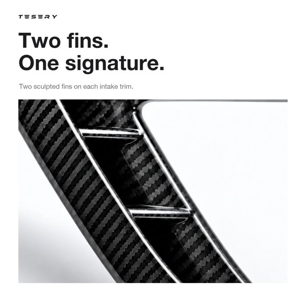 TESVX product image