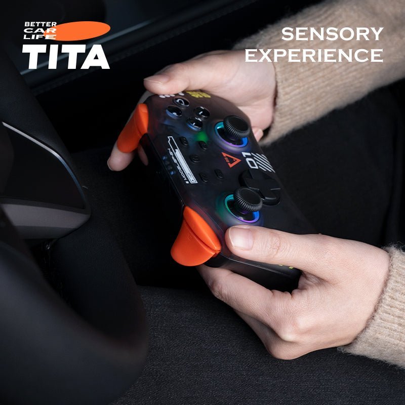 Handheld Controls - TESVX Wireless Gamepad