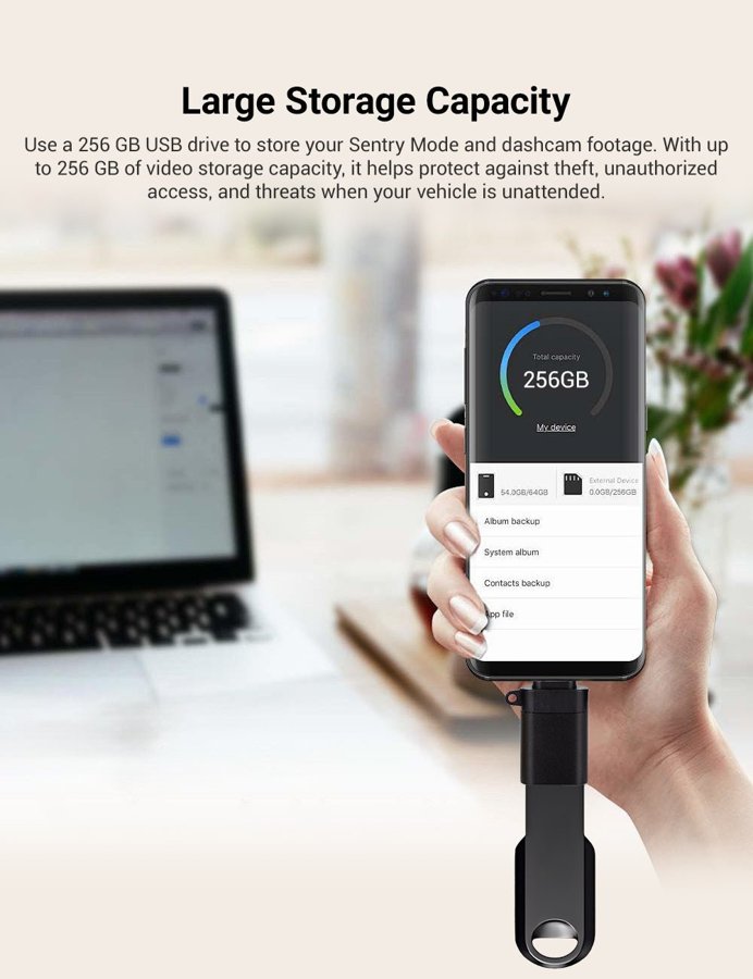 TESVX product image