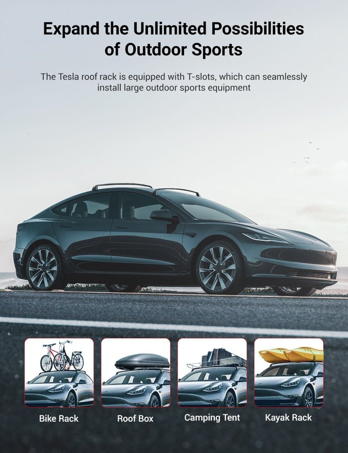 TESVX product image