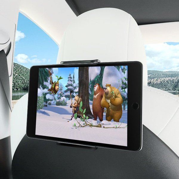 TESVX product image