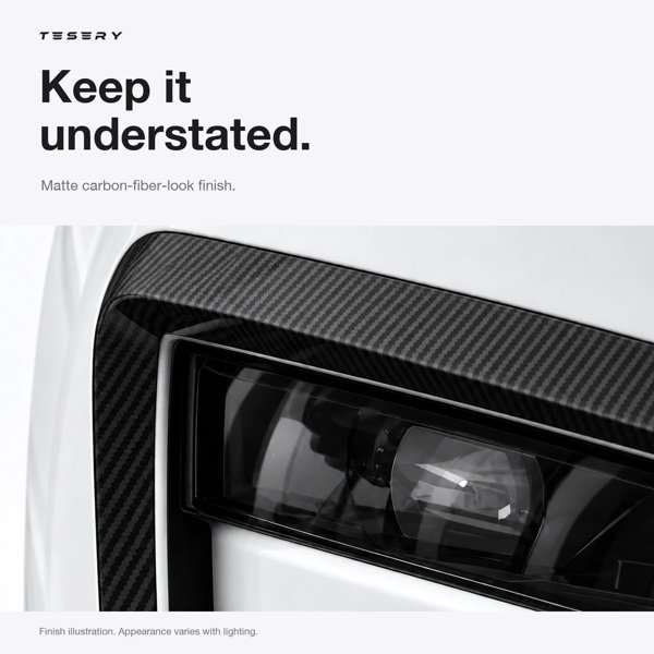 TESVX product image
