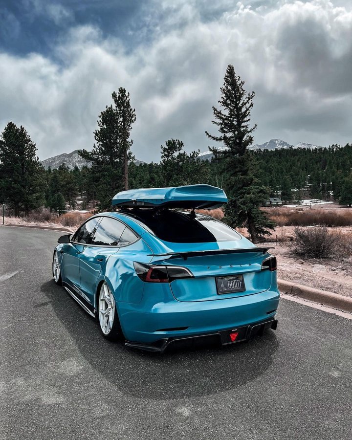 TESVX product image