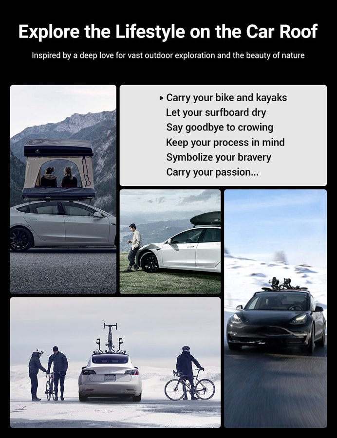 TESVX product image