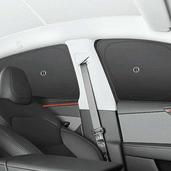 TESVX product image