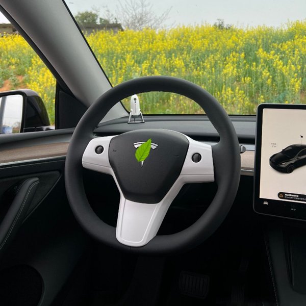 TESVX product image