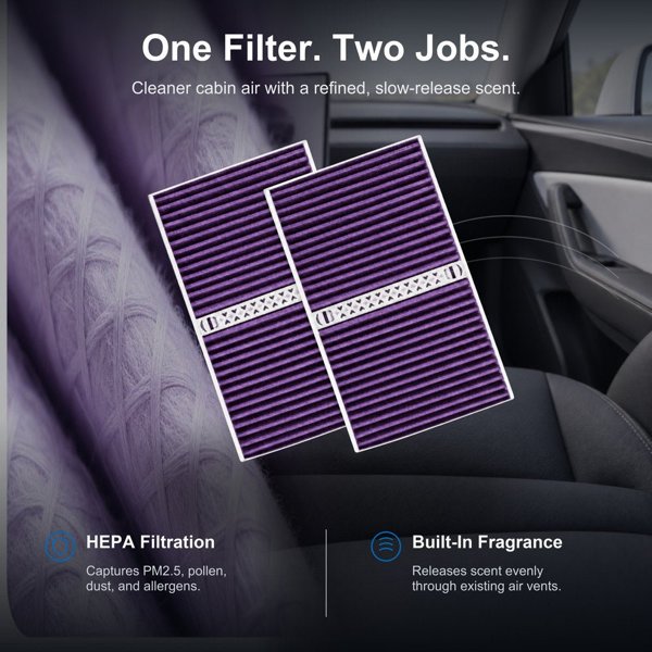 TESVX product image