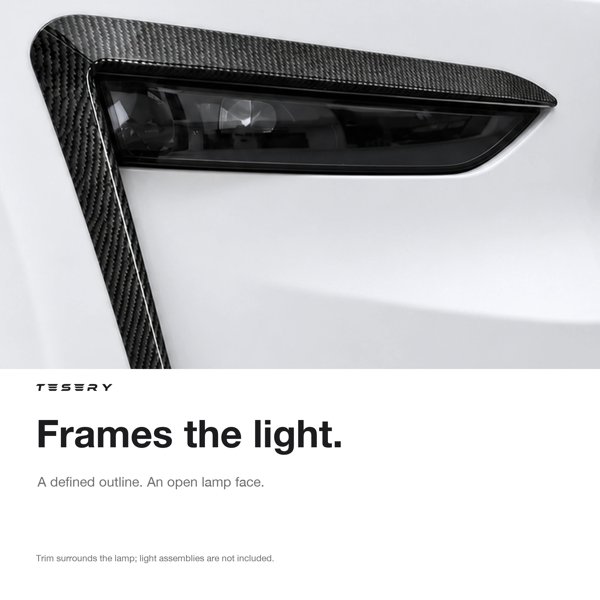 TESVX product image