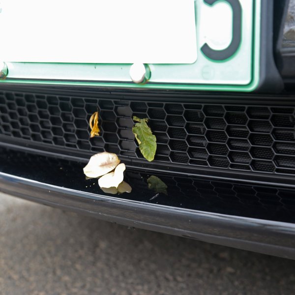 TESVX product image
