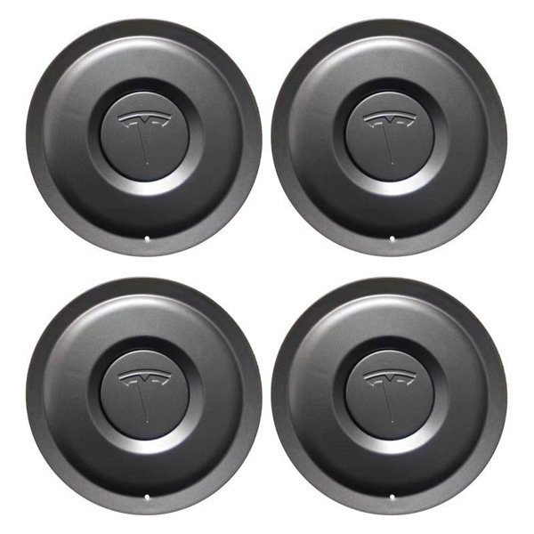TESVX product image