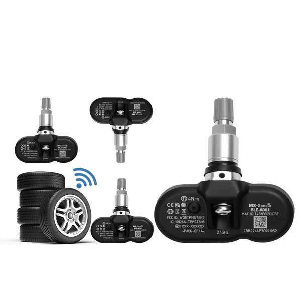 TESVX product image