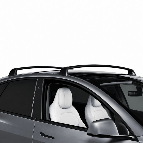TESVX product image