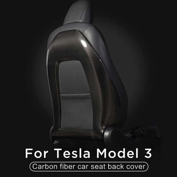 TESVX product image