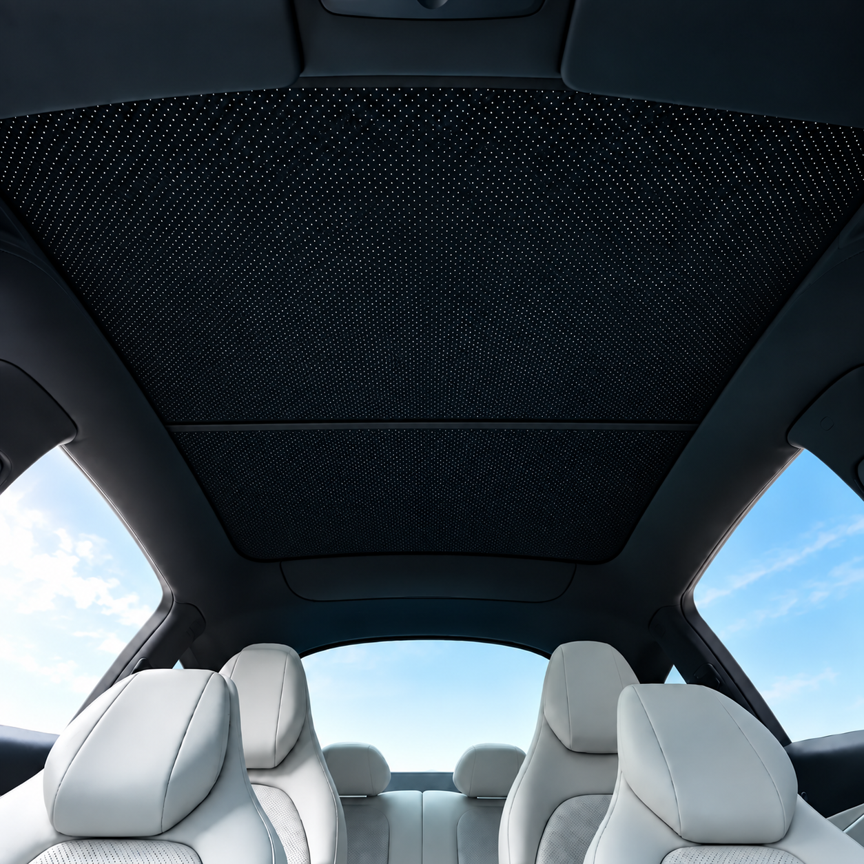 Sectional Roof Coverage - TESVX Glass Roof Sunshade