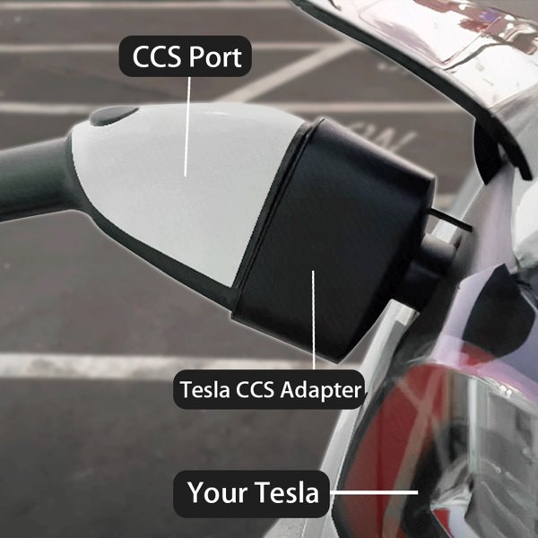 TESVX product image