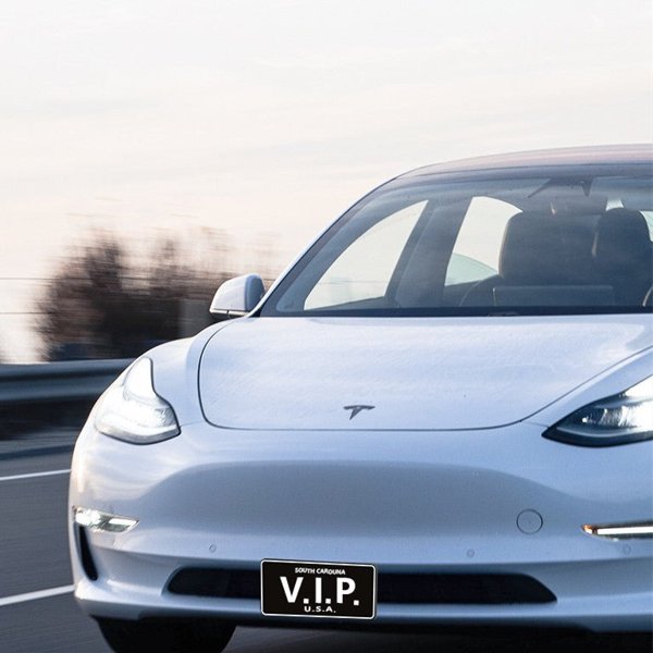TESVX product image