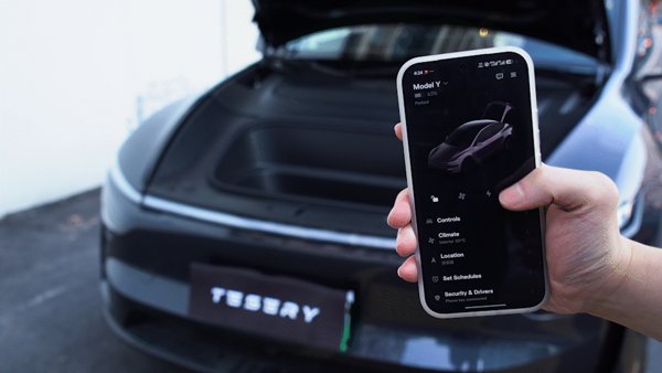TESVX product image