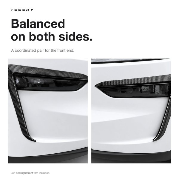 TESVX product image